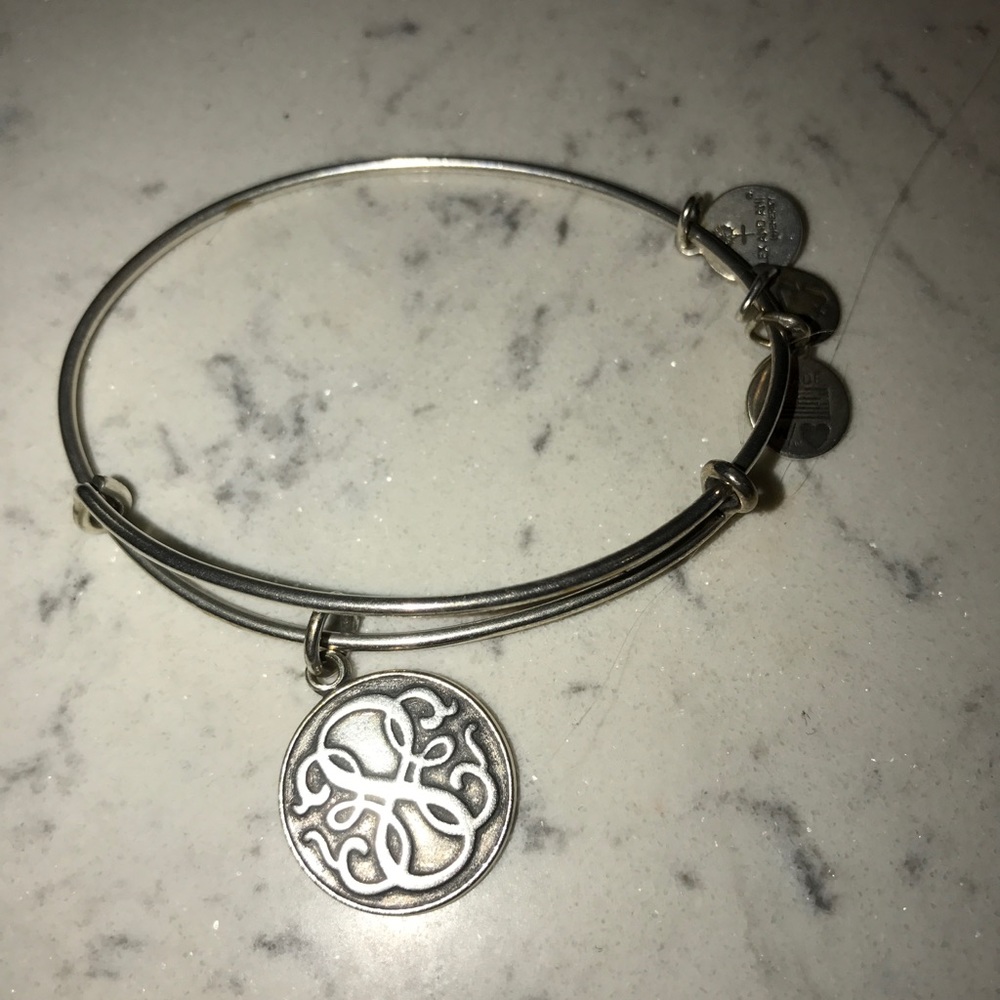 Alex and Ani Bracelet (Path of Life)